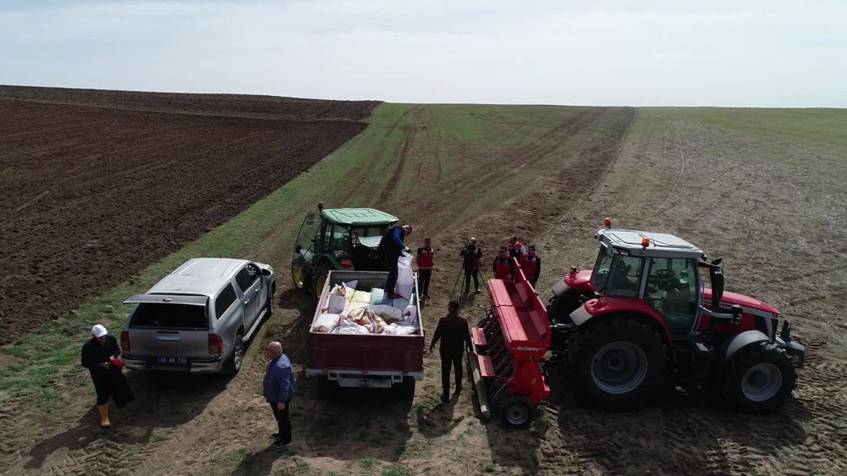 Yozgat'ta Yerli Tohumlarla Nohut Üretimi Arttırılıyor