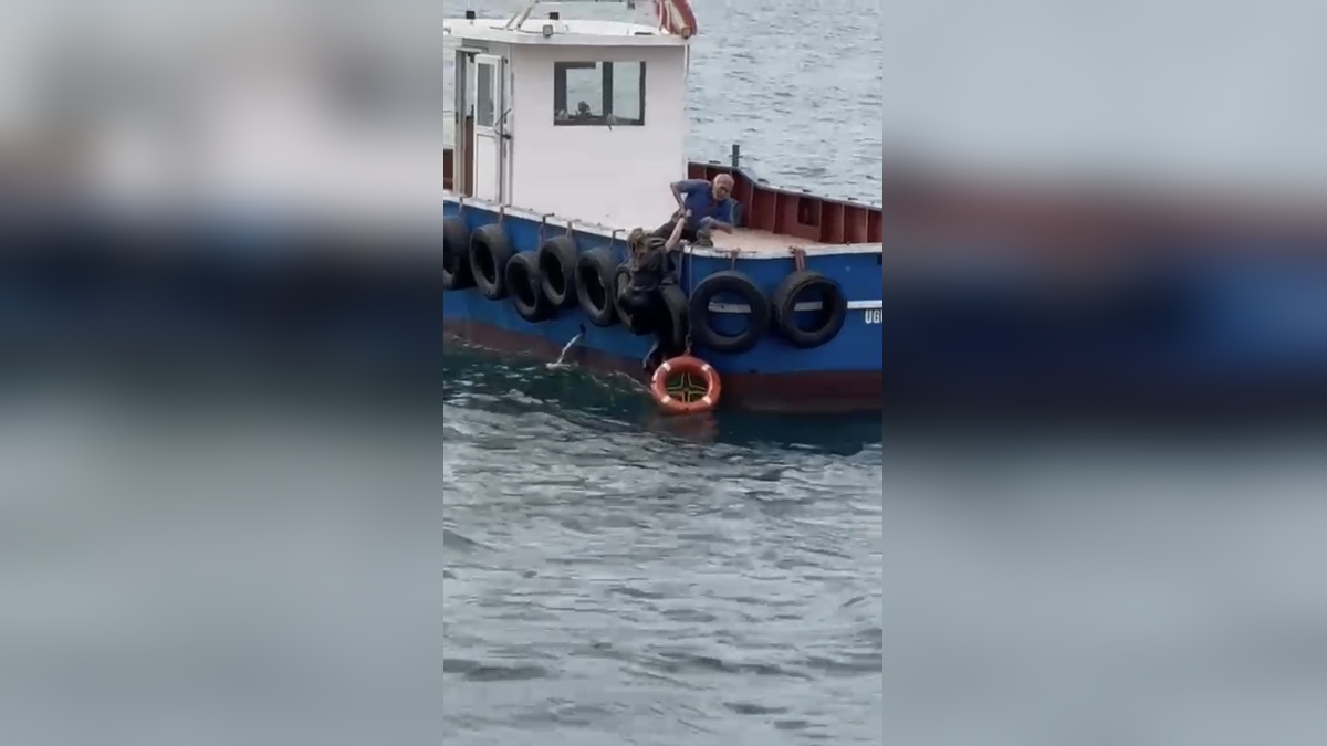 Kartal'da vapurdan denize düşen kadın, balıkçıların can simidiyle kurtarıldı
