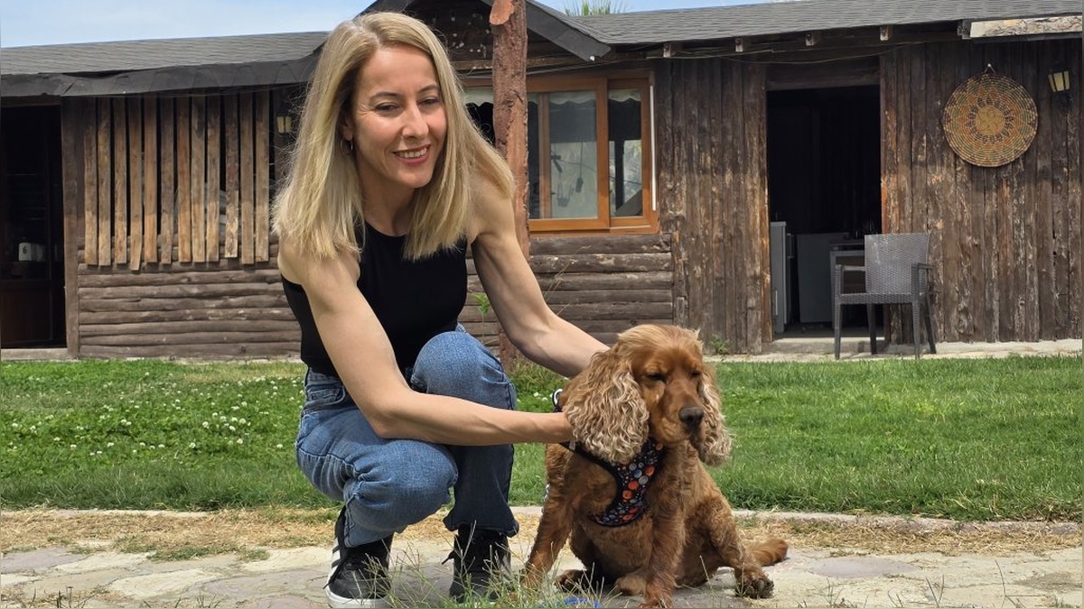 Kayıp Köpek Çilek, 3 Ay Sonra Bulundu
