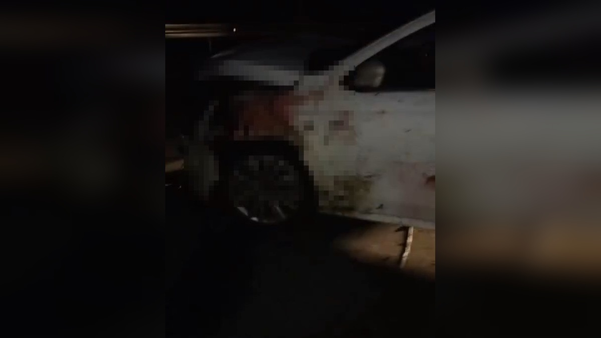 Elazığ'da otomobilin koyun sürüsüne çarpması sonucu 15 koyun telef oldu