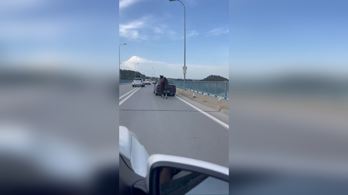 Adana'da ata otomobil bağlayan iki şahıs tutuklandı