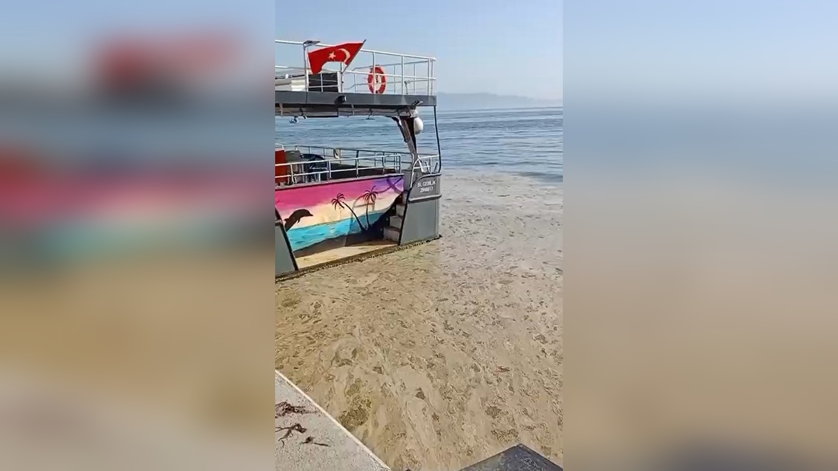 Gemlik Körfezi'nde müsilaj alarmı: Turizm sezonu tehlikede