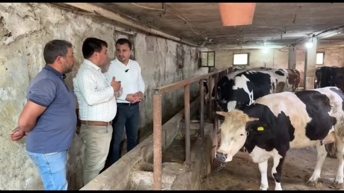 Başevirgen, Manisalı Besicilerin Kurban Bayramı Öncesi Sorunlarını Dinledi