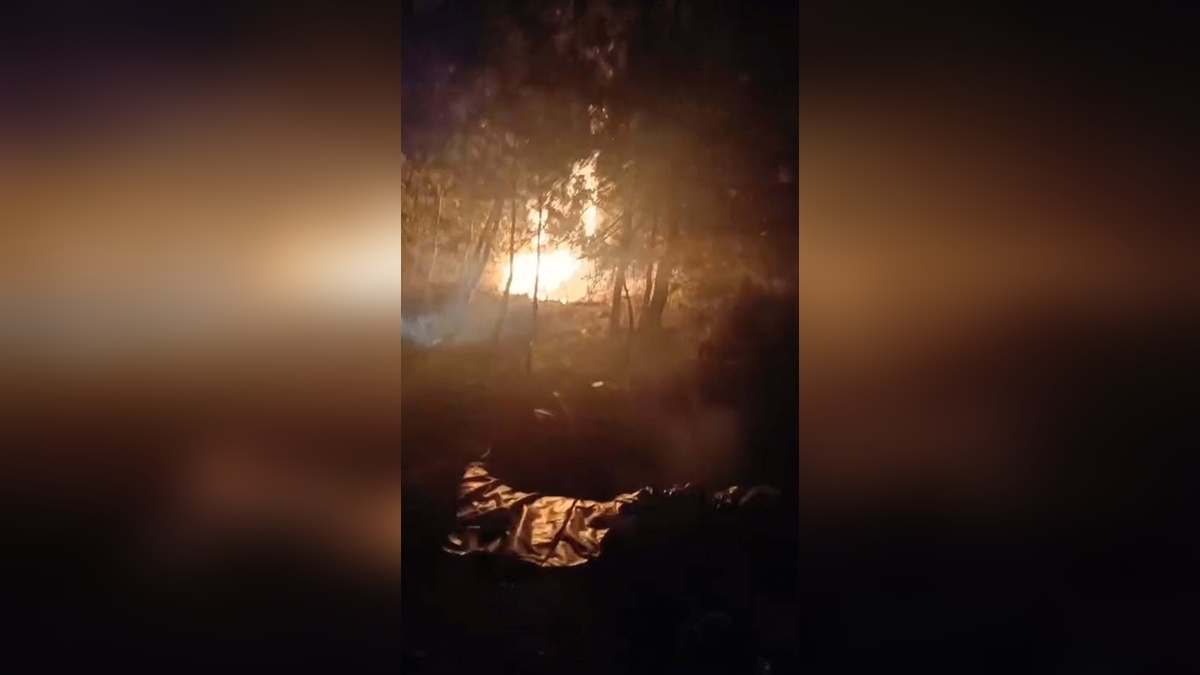 İzmir Bornova'da Orman Yangını Çıkaran 5 Define Avcısı Tutuklandı