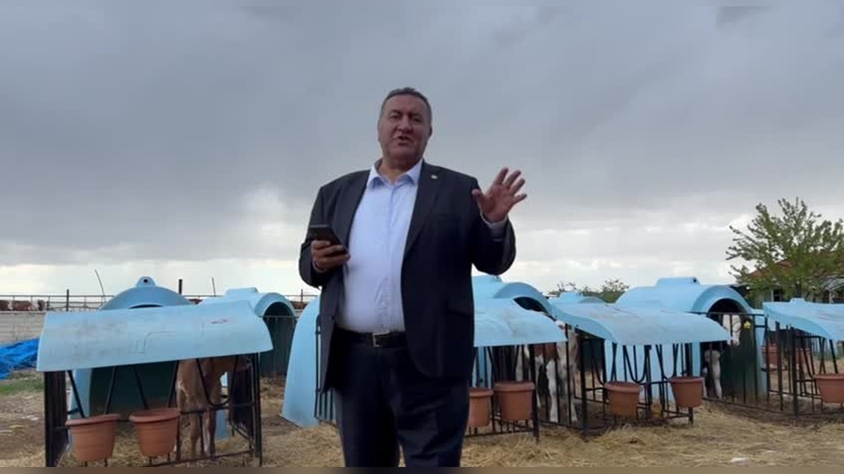 Gürer: Hayvancılık Sektörü İthalata Bağımlı Hale Getirildi, Üreticiler Borç Batağında