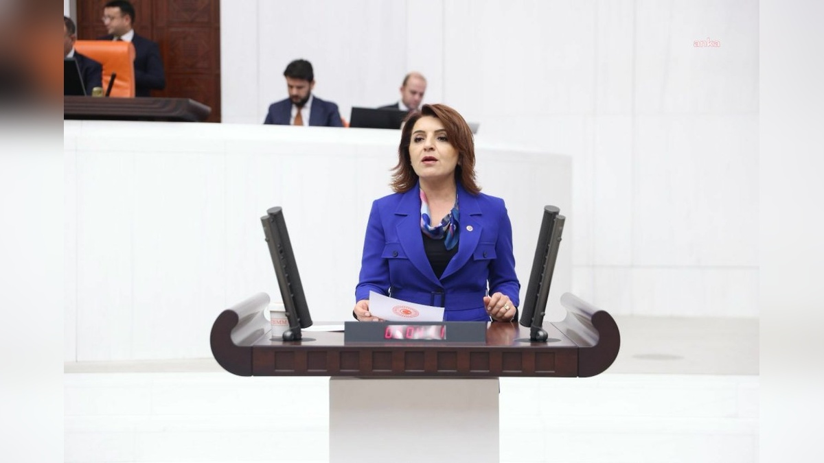 CHP Milletvekili Kış: Saray'daki personel sayısı ve maaşlar şeffaf değil