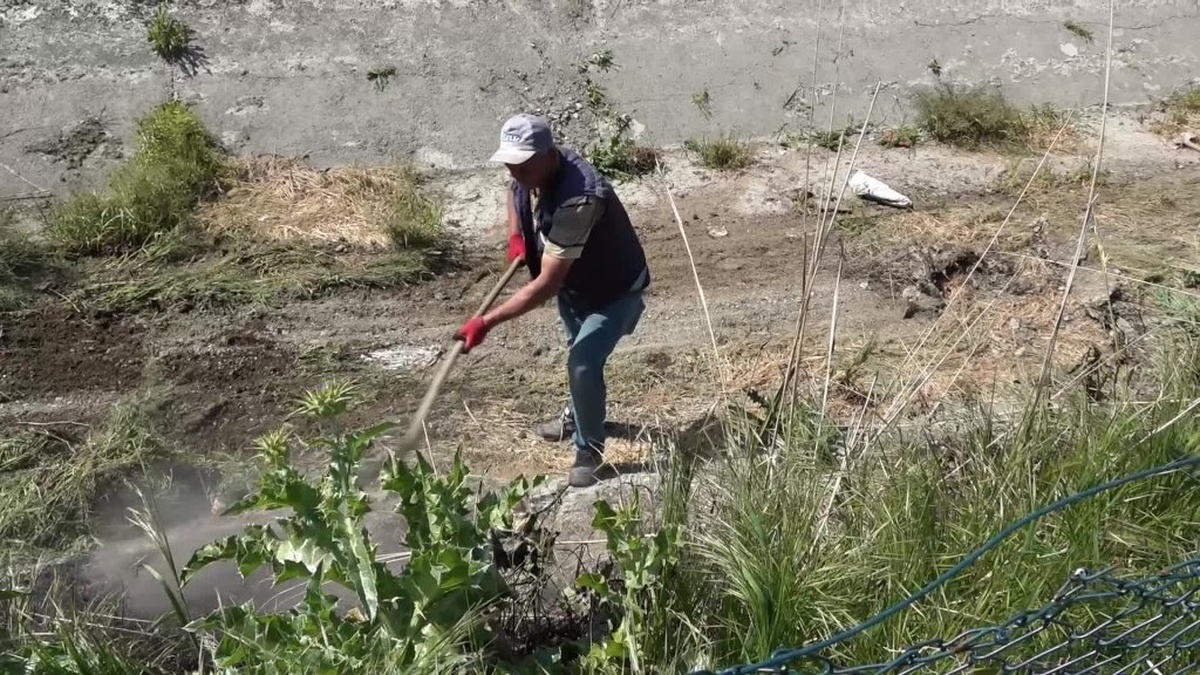 BASKİ, 71 Bin Hektarlık Alana Tarımsal Sulama Hizmeti Sağlıyor