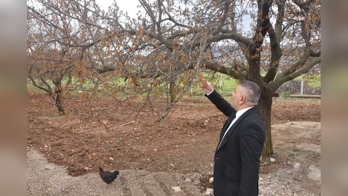 Sadıkoğlu: Malatya'da Don Felaketi, Binlerce Esnafı İflasın Eşiğine Getirdi
