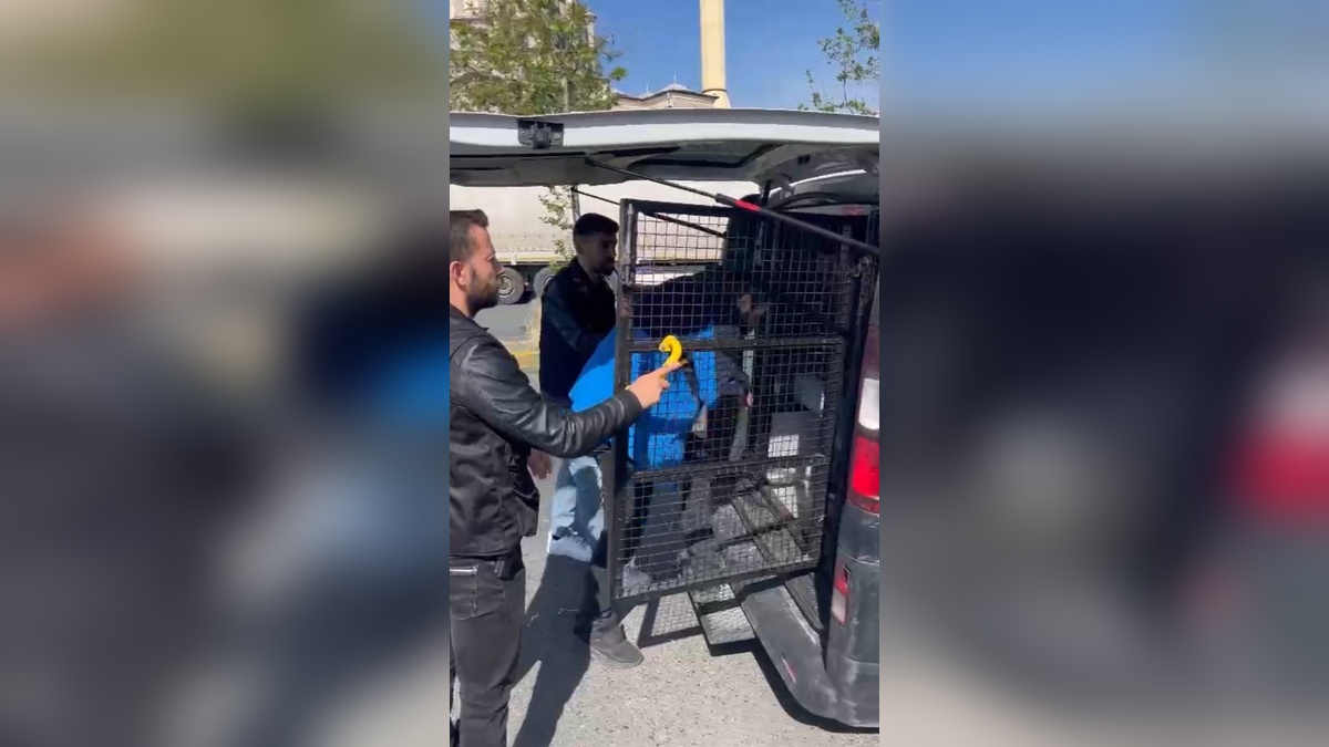 Eski Eşini Otomobille Ezmeye Çalıştı: Cihan N. Tutuklandı
