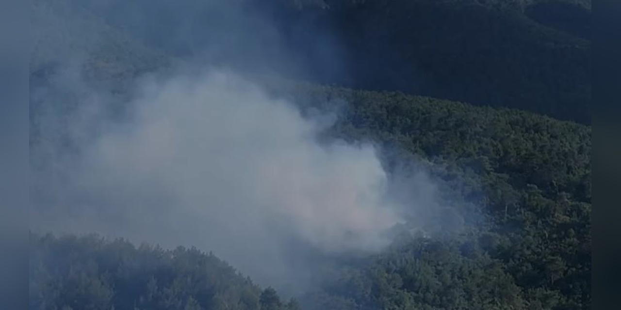 Hatay'da Orman Yangını Hızla Söndürüldü
