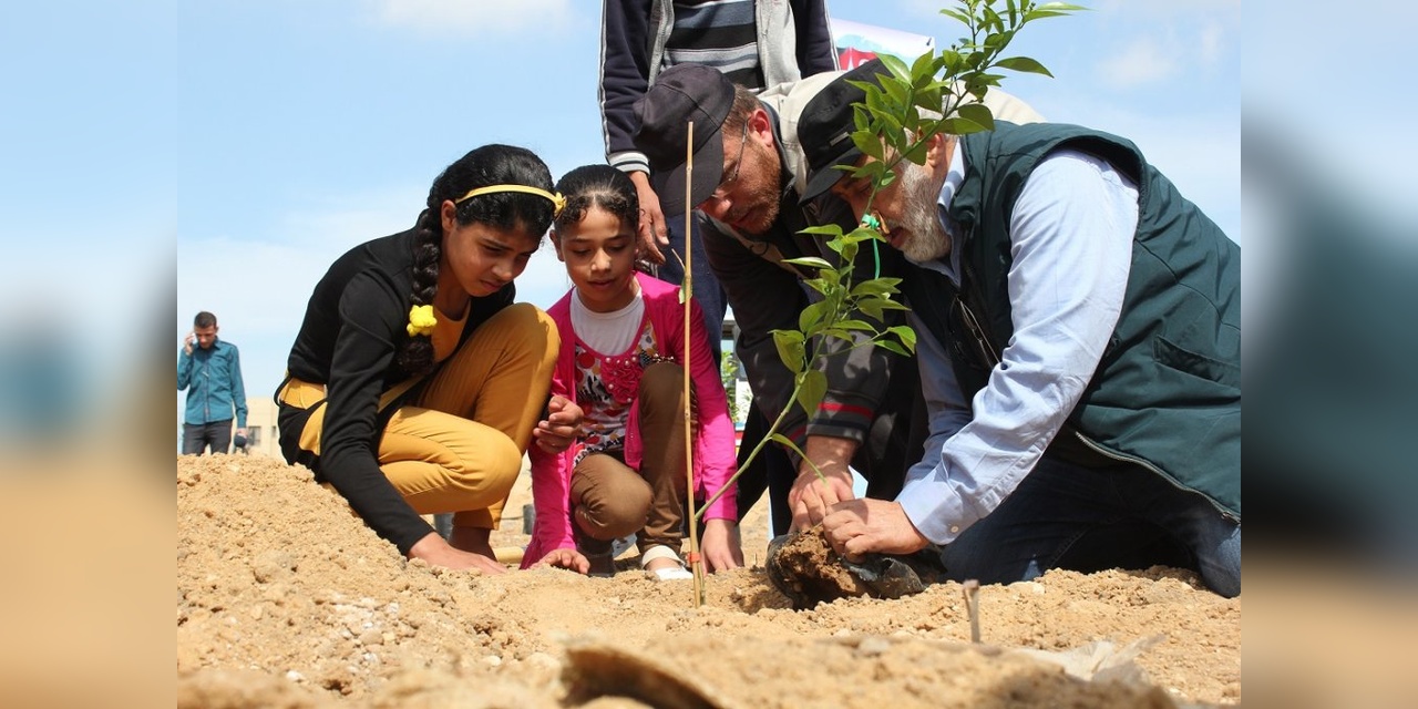 İHH, "Her Yetime Bir Fidan" Projesiyle 22 İlde 160 Bin Fidan Dikti