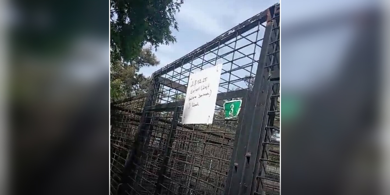 Bursa Osmangazi Hayvan Barınağı Müdürü, Köpek ve Kedilerin Uyuşturularak Öldürülmesi İddialarının Ardından Görevden Alındı