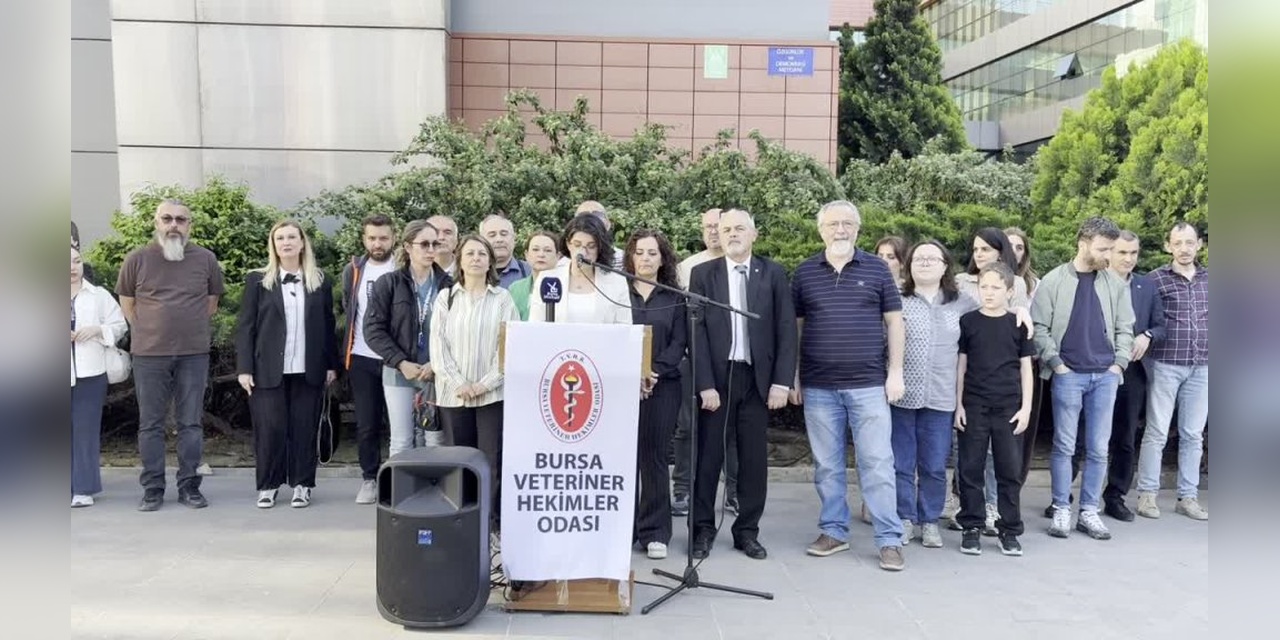 Bursa'da Hayvan Barınağı Görüntüleri: BVHO'dan Açıklama ve Tepkiler