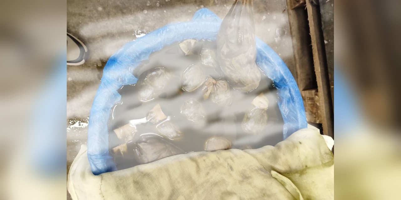 Kapıkule'de 8 Bin 273 Sülük Ele Geçirildi: 755 Bin TL Ceza