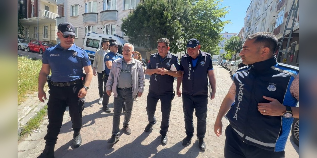 Avcılar'da 'çöp ev' ihbarı: 8 kedi bulundu