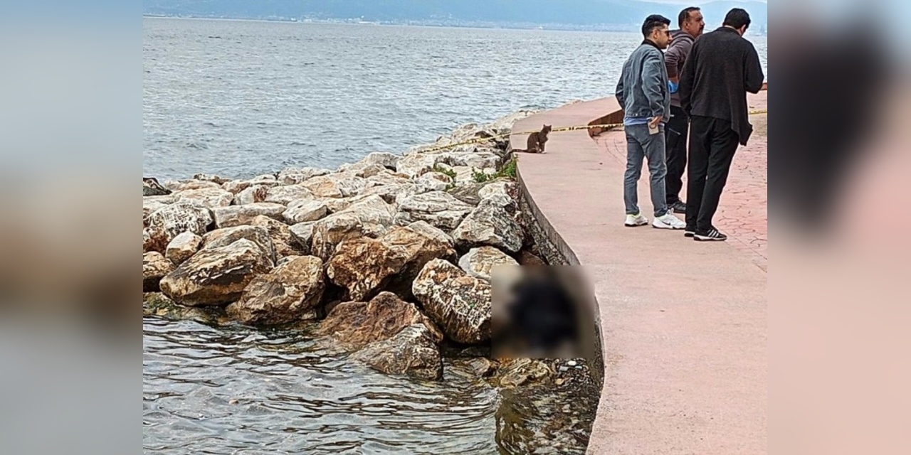 Kocaeli'nde Sahilde Erkek Cesedi Bulundu