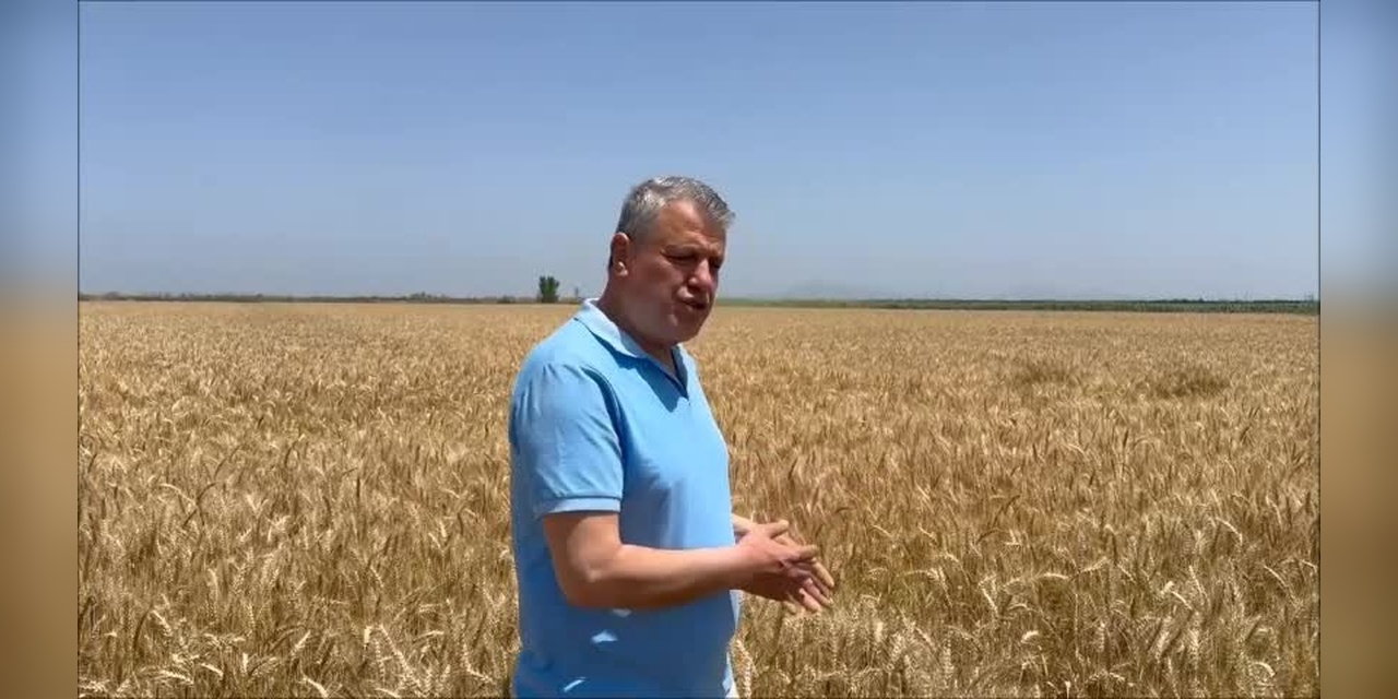 Barut: Buğday alım fiyatı en az 20 lira olmalı