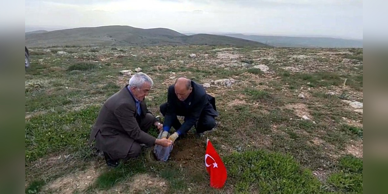 AK Parti, Zülal Tannur'un Togg projesindeki başarısını paylaştı: 19 Mayıs mesajı
