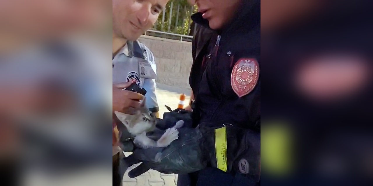 Konya'da otomobil motorunda sıkışan kedi kurtarıldı