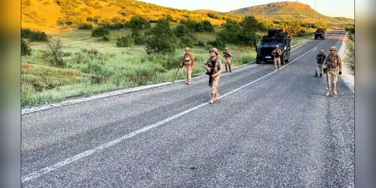 Diyarbakır'da büyük operasyon: 8 gözaltı, milyonlarca kök kenevir ele geçirildi