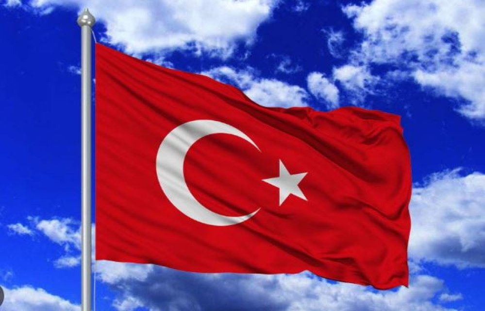 Türk bayrağını yakmaya çalışan vatan hainini Türk kadını böyle engelledi!