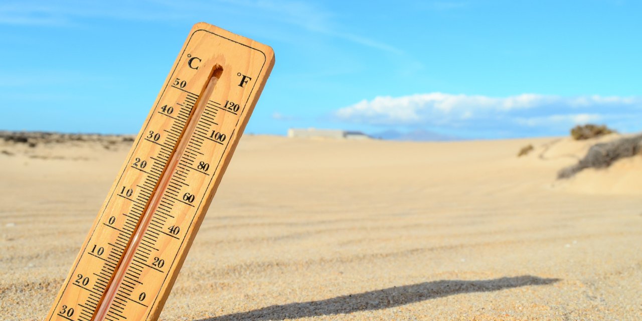 Afrika sıcaklıkları kasıp kavururken sadece tek bir bölge etkilenmeyecek