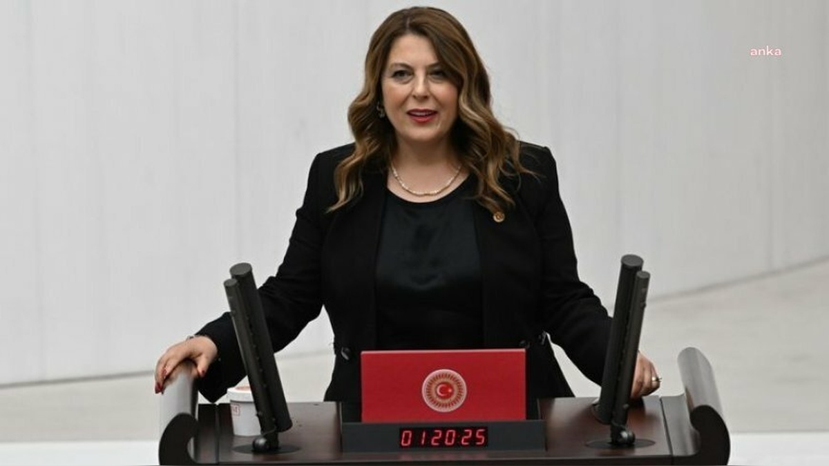 Giresun'da maden atık suyu sorunu: CHP'li Gezmiş'ten Bakan Kurum'a soru önergesi