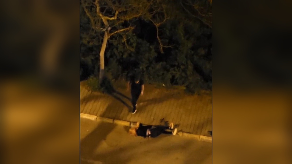 Beylikdüzü'nde eşini bıçaklayan Murat Bulut'un davası: 36 yıl 4 ay hapis istendi