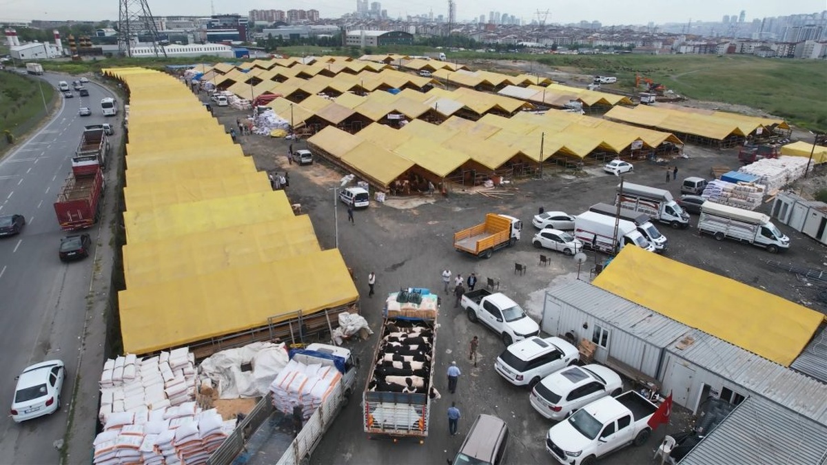 İstanbul'da Kurbanlık Pazarları Canlandı: 1300 Kiloluk 'Poyraz' 400 Bin TL