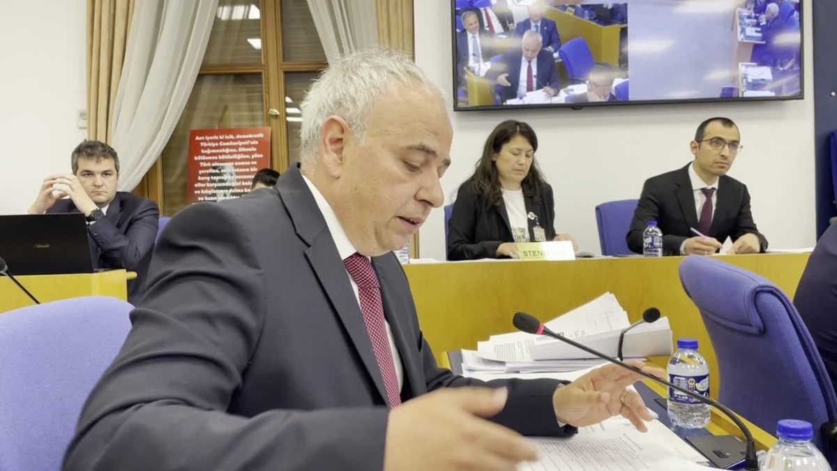 TBMM'de tartışmalar sürüyor: Cumhurbaşkanına geniş yetkiler veriliyor