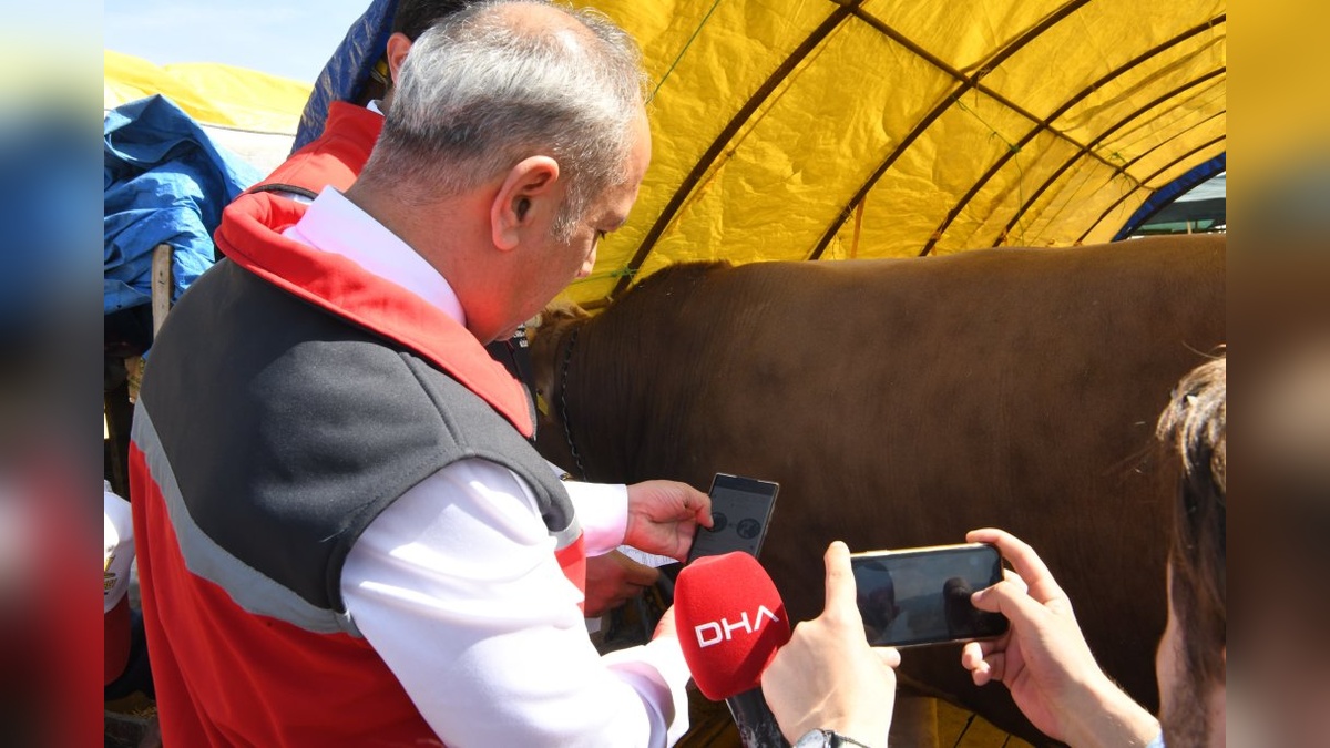 Ankara'da Kurban Bayramı hazırlıkları: 9 hayvan pazarı ve 3 kontrol noktası