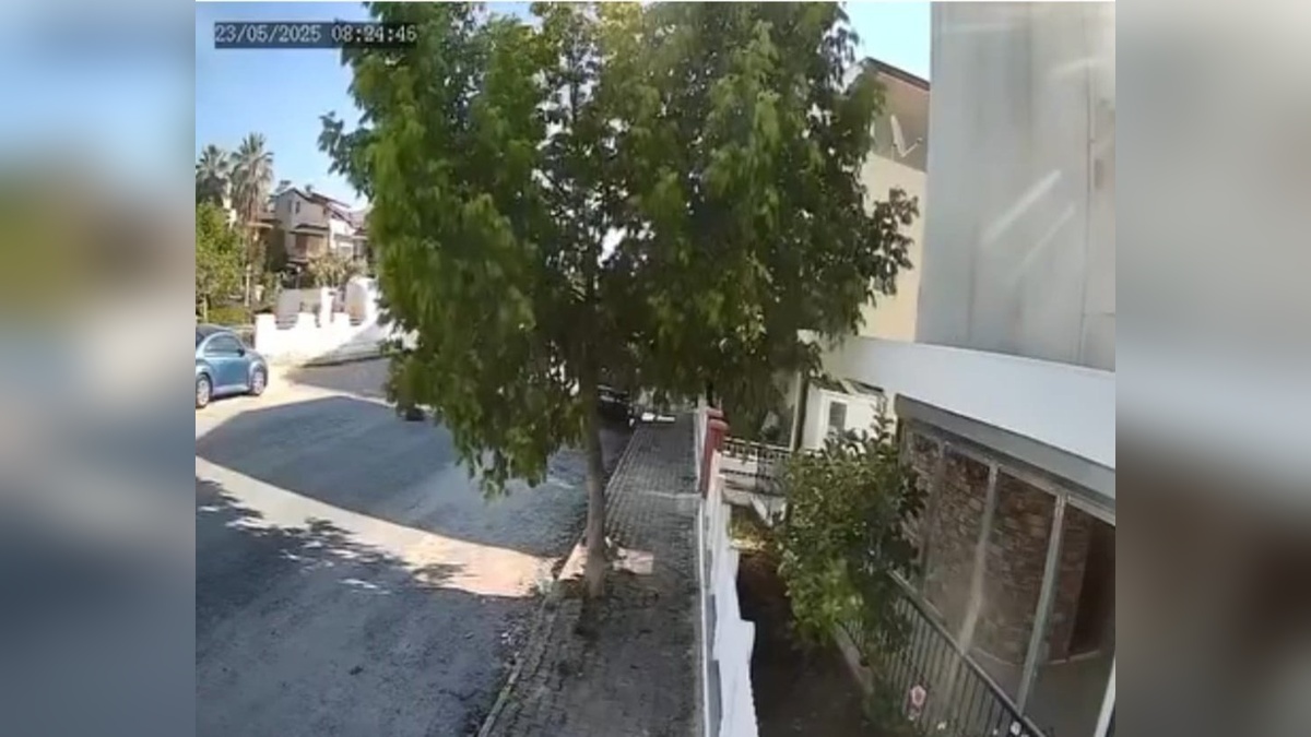 Kuşadası'nda tur otobüsü köpeği ezdi