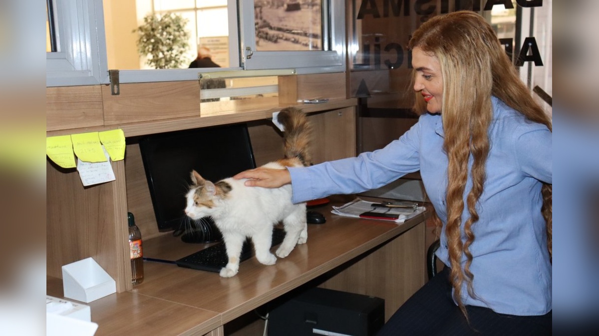 Amasya Adliyesi'nin maskotu Adalet: 9 yıldır adliyede