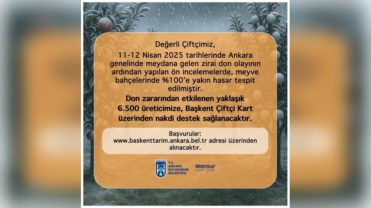 Ankara'da zirai don hasarı: 6 bin 500 çiftçiye destek