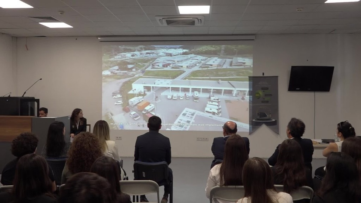 İzmir'de sahipsiz hayvanlar için dev proje: Pet Maması Döngüsel Ağı