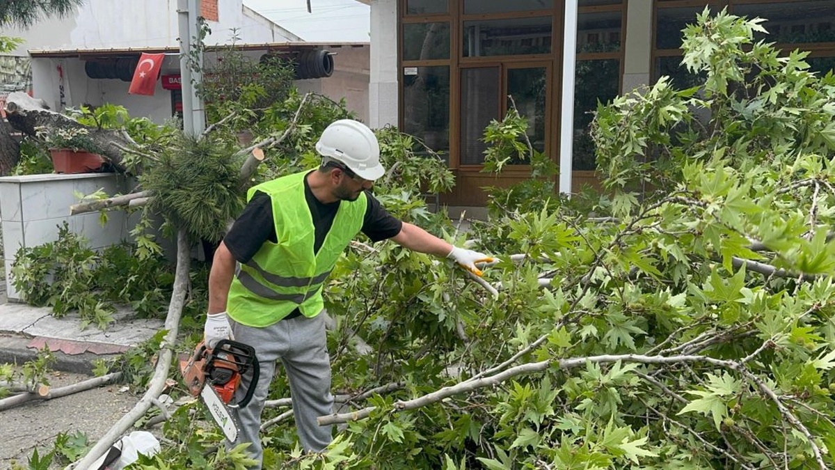 Turgutlu'da şiddetli rüzgar: Ağaçlar devrildi, araç zarar gördü