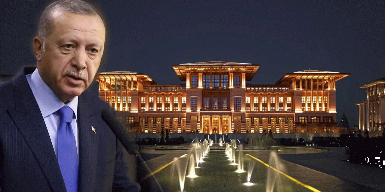 Kim daha rahat uyuyor