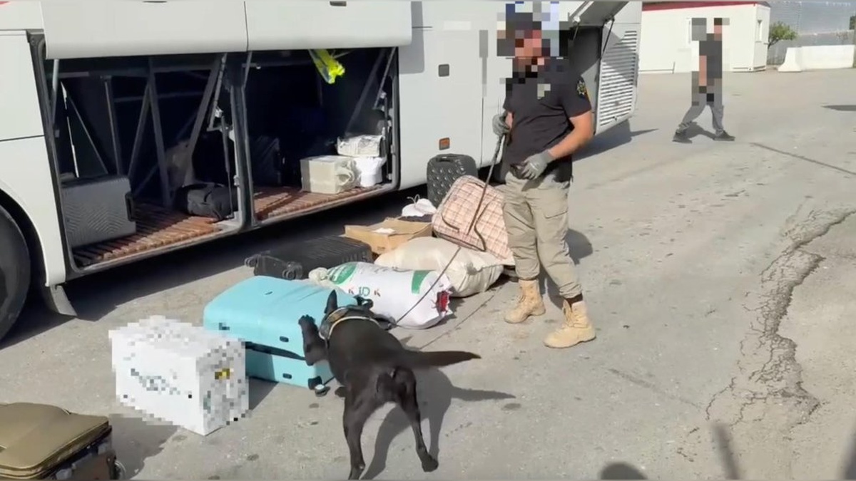 Erzincan merkezli operasyon: 20 kilo skunk ele geçirildi