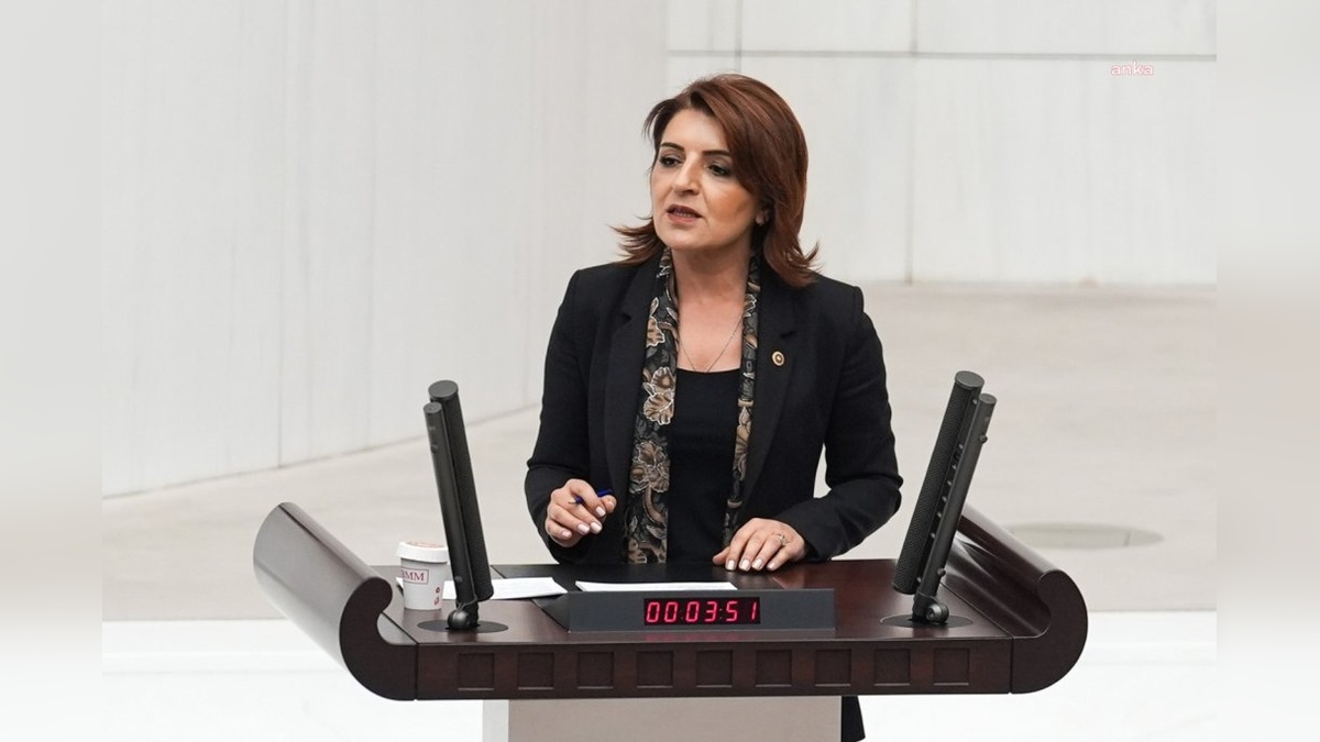 CHP Milletvekili Kış: Türkiye'de her 4 kişiden biri icralık
