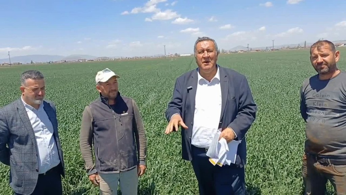 Gürer: Çiftçiye 20 lira verin dendiğinde 'çok' deniyor
