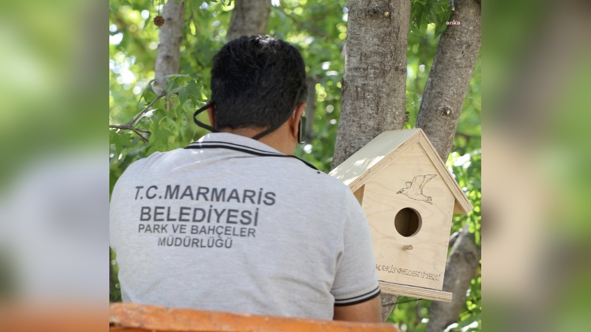 Marmaris'te yangın sonrası kuş evleri projesi