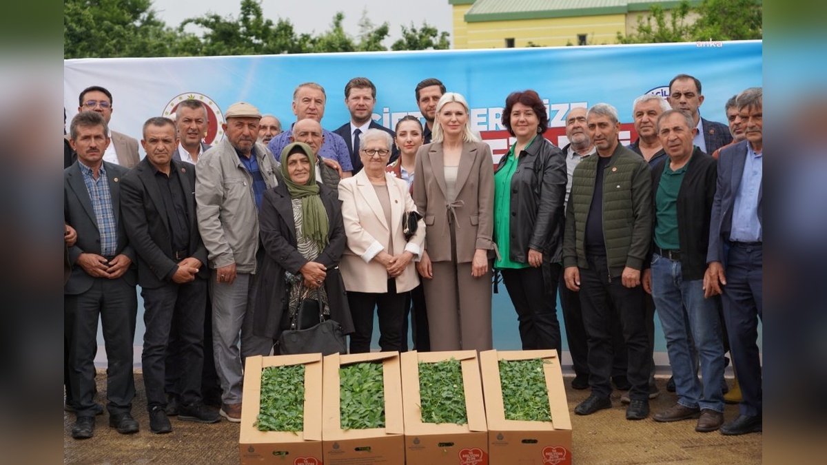 Bilecik Belediyesi çiftçilere 1 milyon 700 bin fide dağıttı