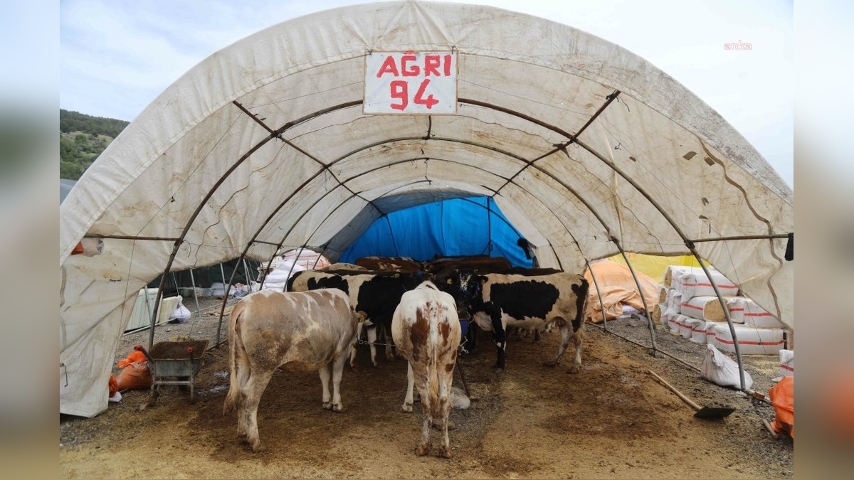 Çankaya Belediyesi: Kurban Bayramı için Yeşilkent Mahallesi'nde hazırlıklar tamam