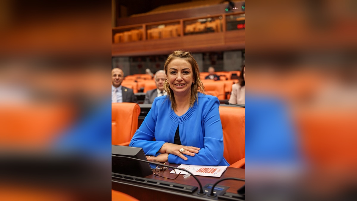 CHP Hatay Milletvekili Kara: Hatay doğal gazda cezalandırıldı