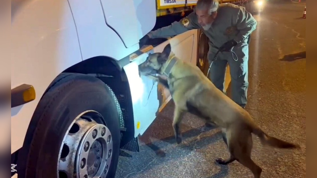 Tekirdağ'da 5 kilo skunk ele geçirildi: Sürücü tutuklandı