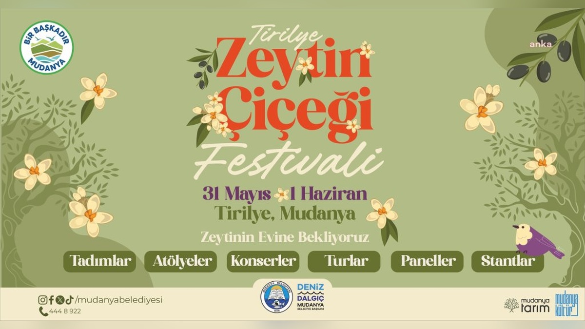 Tirilye Zeytin Çiçeği Festivali: 31 Mayıs - 1 Haziran tarihlerinde Tirilye'de