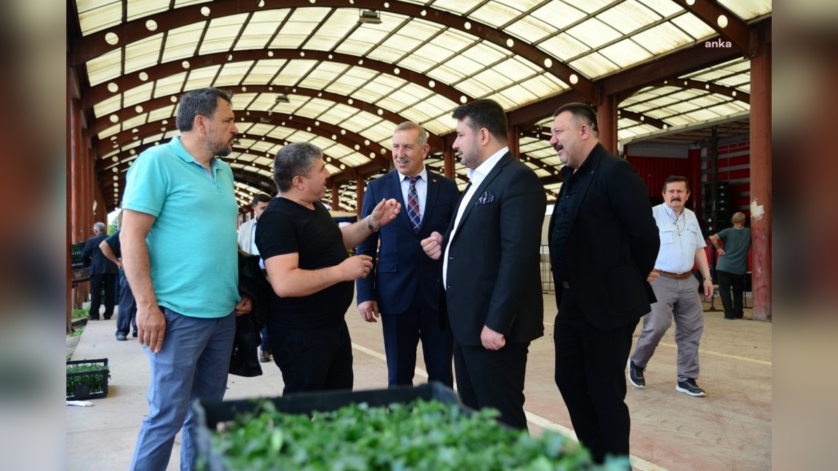 Kahramankazan'da 850 bin sebze fidesi dağıtıldı