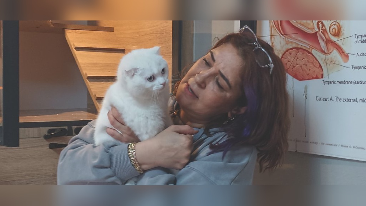 İslahiye'de veteriner Yıldızgil, 750 sokak hayvanını sahiplendirdi