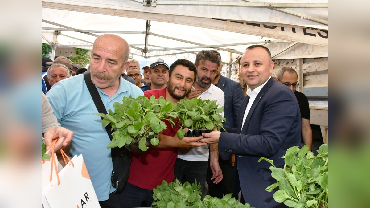 Amasya'da zirai don felaketine İBB'den destek: 42 bin fide dağıtıldı