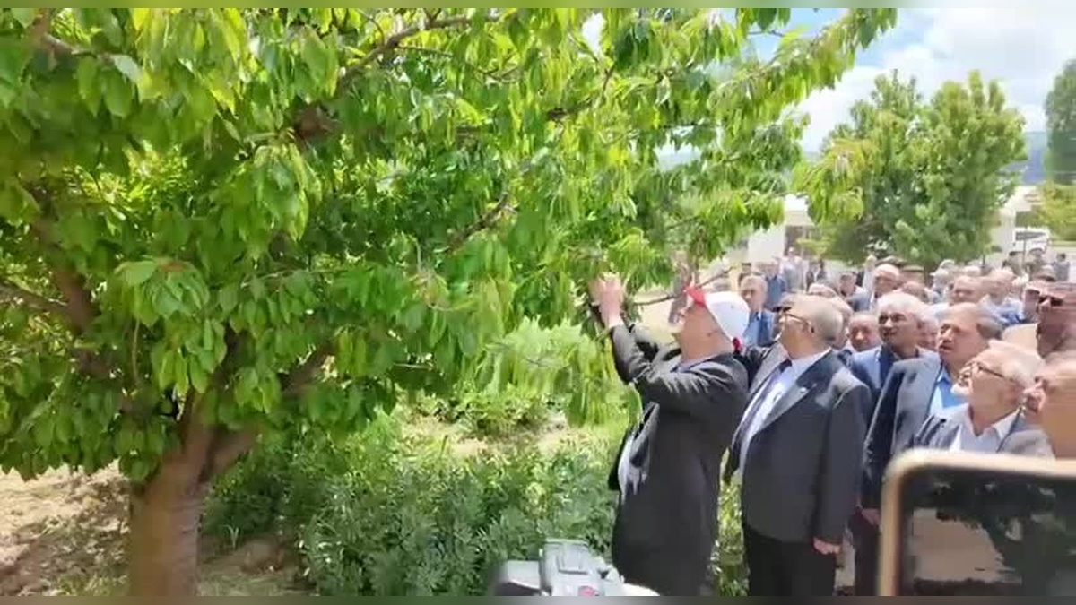 TZOB Başkanı Bayraktar: 65 ilde büyük don felaketi, çiftçiler destek bekliyor